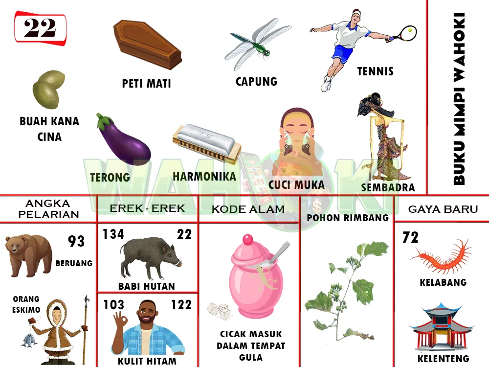 buku mimpi erek erek togel 22