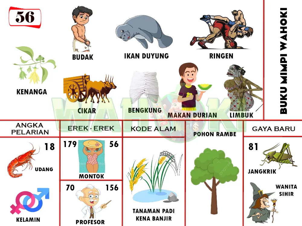 buku mimpi erek erek togel 56